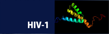 Viral Infectious Disease UnitJ@l wqECXwO[v