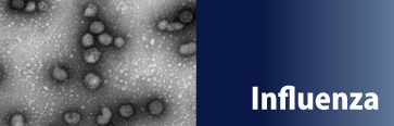 Viral Infectious Disease UnitJ@l wqECXwO[v