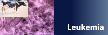 Viral Infectious Disease UnitJ@l wqECXwO[v