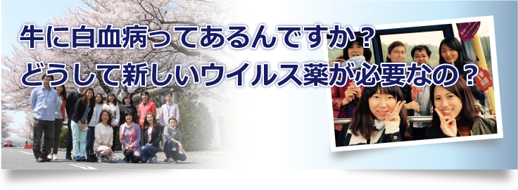 大学院生募集中どうして新しいウイルス薬が必要なの?牛に白血病ってあるんですか?